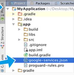 google-services.json