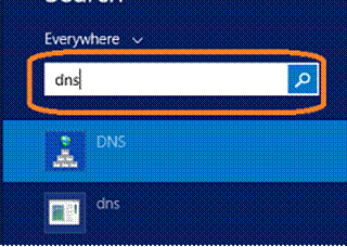 DNS