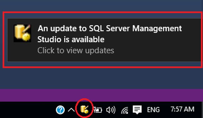 SQL Server Management Studio