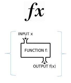 Function