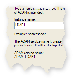 Instance name