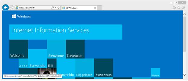 IIS Web Server on local machine