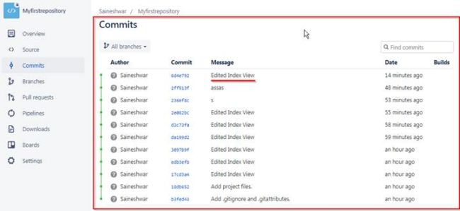 Bitbucket with Visual Studio 
